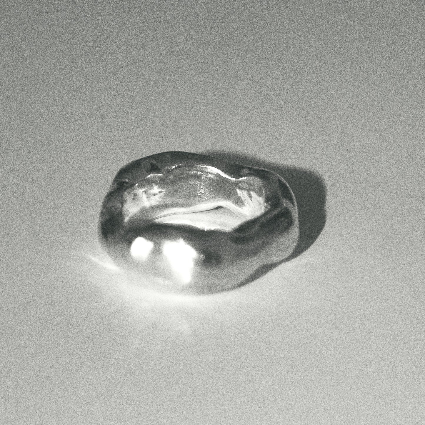 ring No.2
